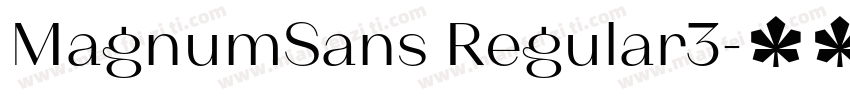 MagnumSans Regular3字体转换